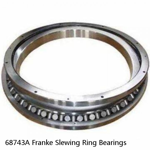 68743A Franke Slewing Ring Bearings #1 small image