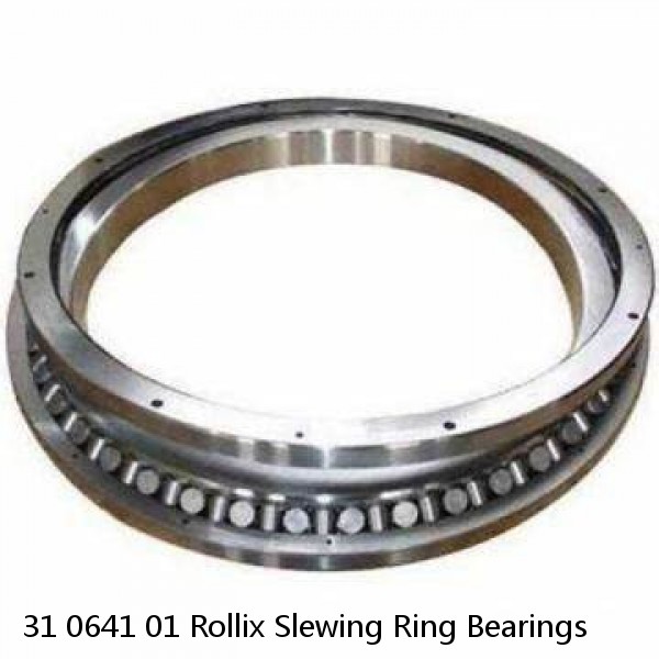 31 0641 01 Rollix Slewing Ring Bearings #1 small image