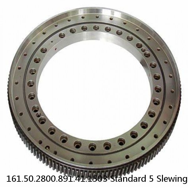 161.50.2800.891.41.1503 Standard 5 Slewing Ring Bearings #1 small image
