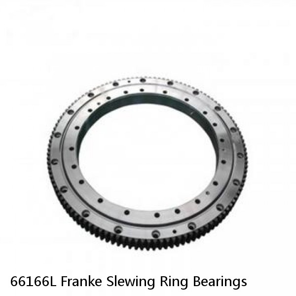 66166L Franke Slewing Ring Bearings #1 small image