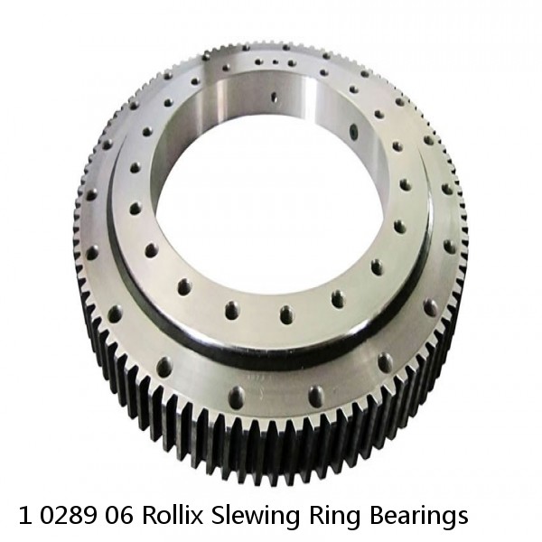 1 0289 06 Rollix Slewing Ring Bearings #1 small image