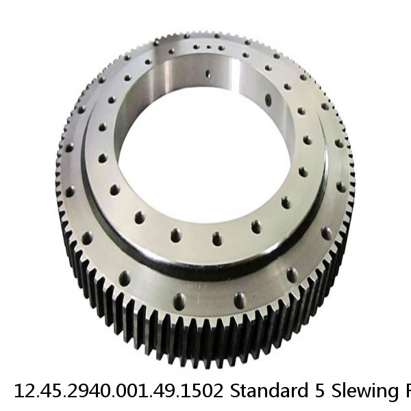 12.45.2940.001.49.1502 Standard 5 Slewing Ring Bearings #1 small image