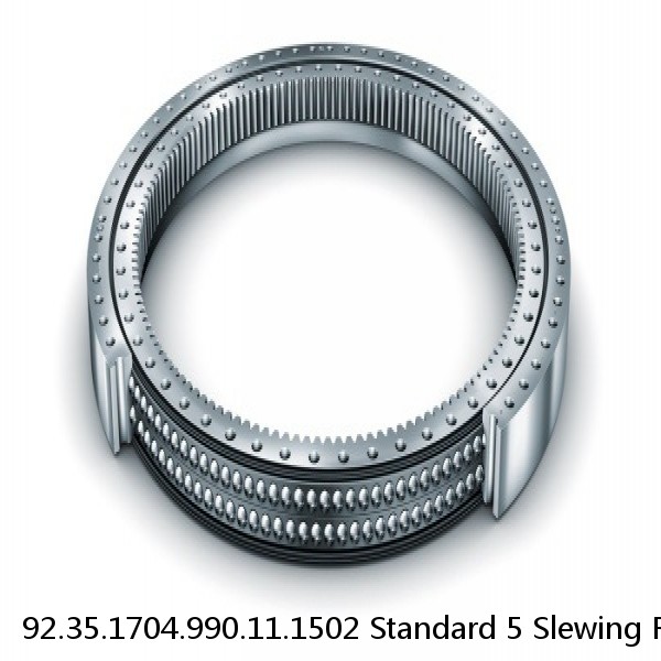 92.35.1704.990.11.1502 Standard 5 Slewing Ring Bearings #1 small image
