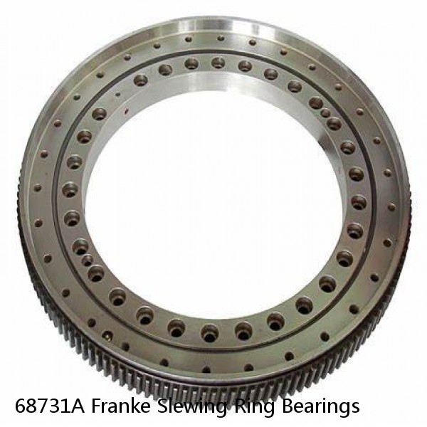 68731A Franke Slewing Ring Bearings #1 small image