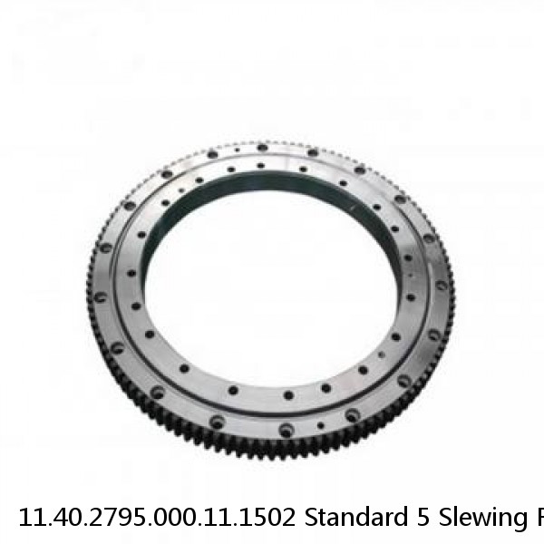 11.40.2795.000.11.1502 Standard 5 Slewing Ring Bearings #1 image