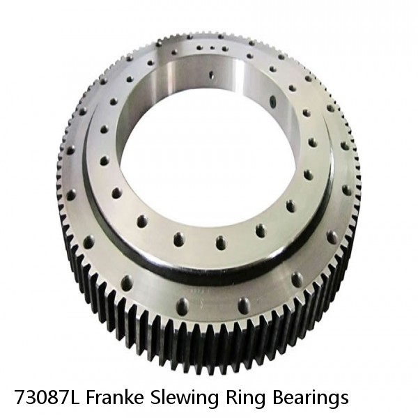 73087L Franke Slewing Ring Bearings #1 image