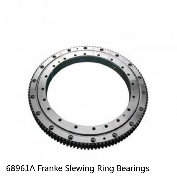 68961A Franke Slewing Ring Bearings #1 image